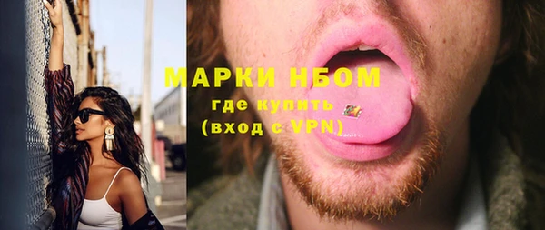 дмт Богородицк