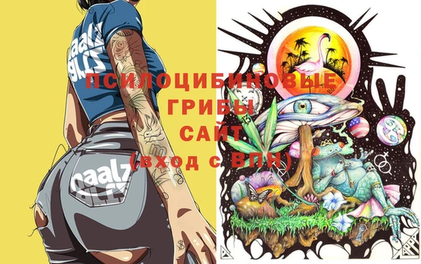 a pvp Белоозёрский